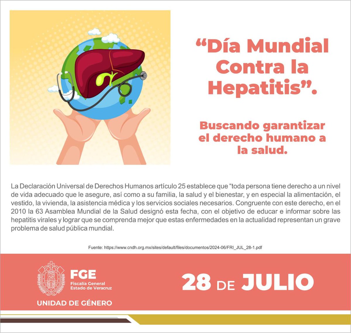 FGE_Veracruz's tweet image. 