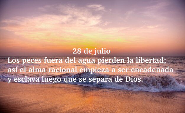 miguel_bg7's tweet image. MÁXIMAS DE SAN FRANCISCO DE SALES PARA TODOS LOS DÍAS DEL AÑO