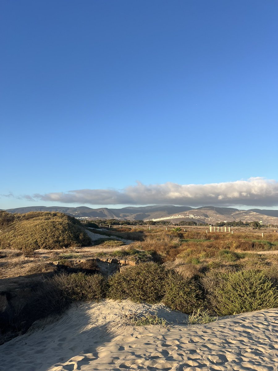 BlakeaLewis03's tweet image. Just landed in Mexico. My college friends and I are building a whole house in 4 days for a family in need. The content will be a little slow this week, but will keep up when available. Can’t wait to serve/love this community. It’s so important to love one another well. I…