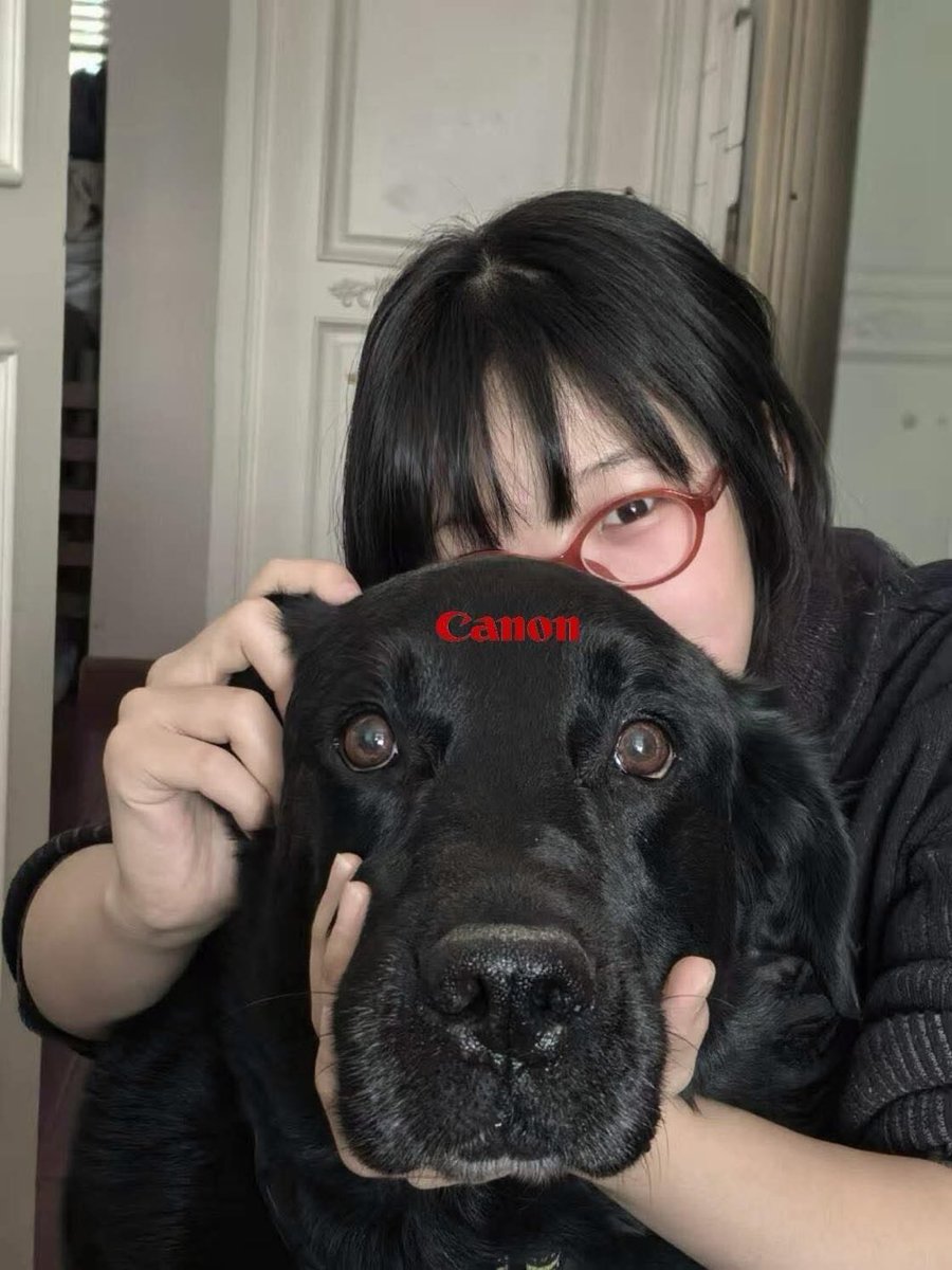 tododiacaes's tweet image. Xisssss