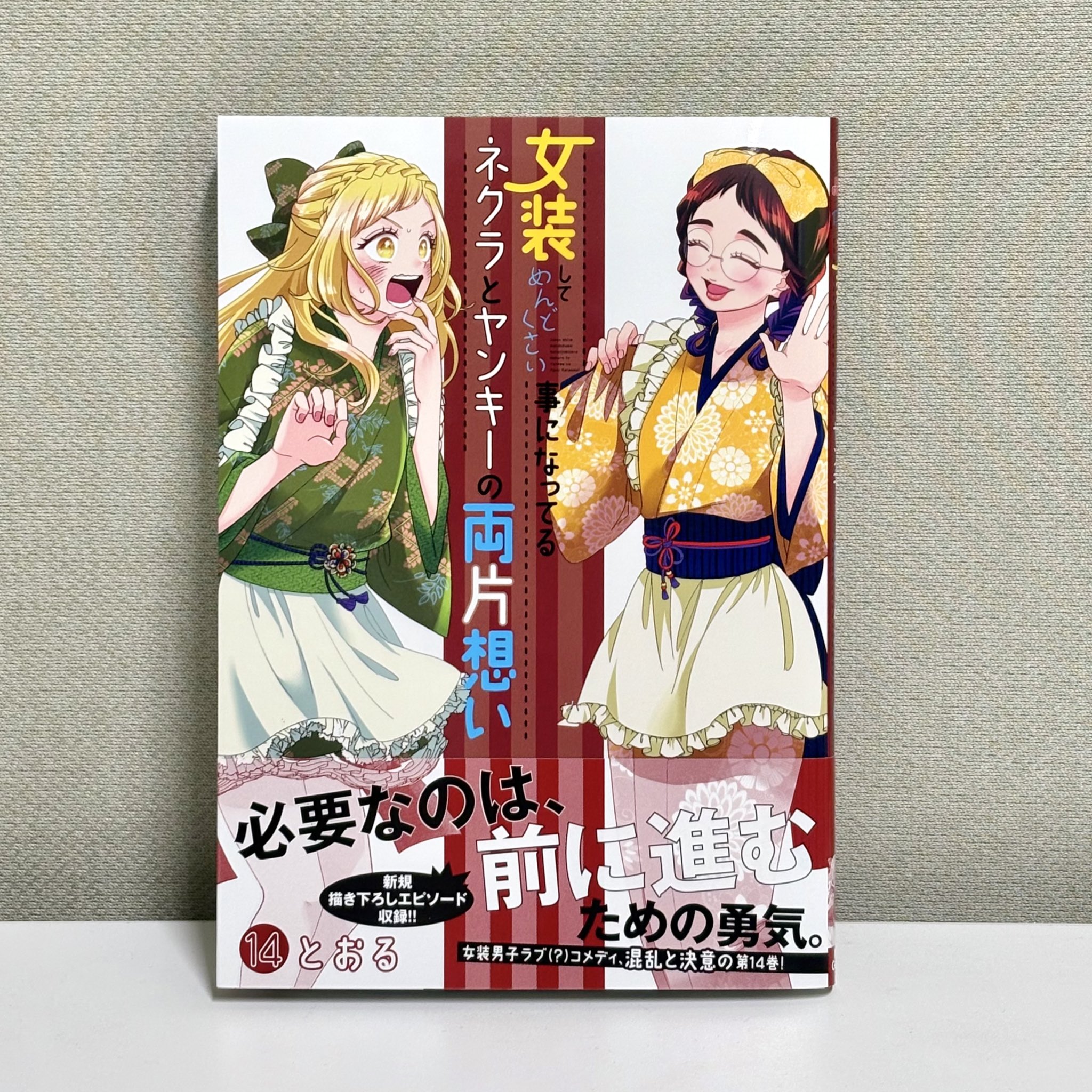 女装してめんどくさい事になってるネクラとヤンキーの両片想い 1~14巻 女装してめんどくさい事になってるネクラとヤンキーの両片想い