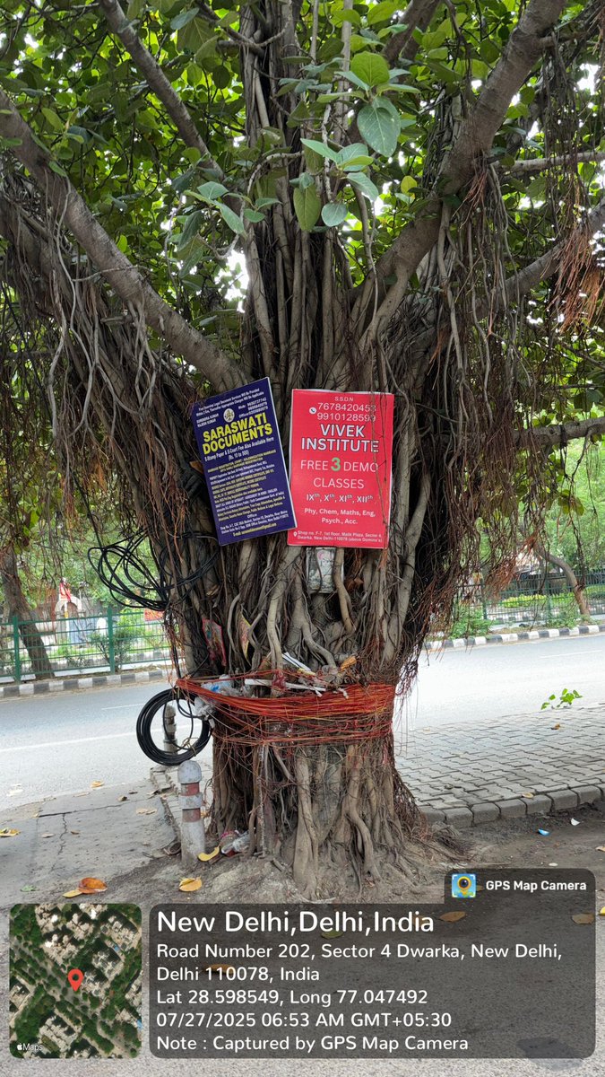 AnilParashar21's tweet image. Where MCD Horticulture and Forest Deptt Delhi are sleeping 💤? Rampant nailing of trees in Dwarka Delhi slowly killing trees and four engine sarkar busy on social media.Wake up Kumbhkarans and act @CMODelhi @gupta_rekha @LtGovDelhi Raise ur voice it counts @LallVishallall7