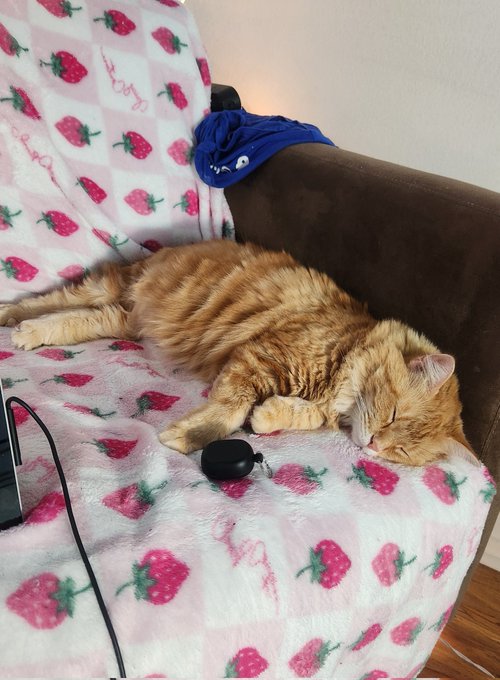 Watch Jade Valentine, PhD in Anal Science's leaked NSFW photo on TwXstars