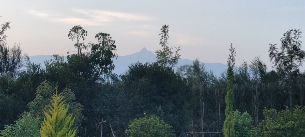 A blessed, happy and great week ahead folks. 🙏🏿