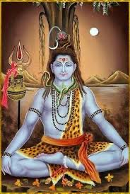 tyagipv's tweet image. जय शम्भू। ❤️❤️