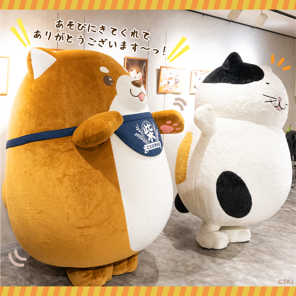 c_mochishiba's tweet image. #忠犬もちしば x #でぶねこ
🍙まんぷくストア☕
============
カフェ&おかかに会いにきてくれた
ご主人のみなさ~まっ!ありがとうございました🐾
POP UP SHOPは7/31(木)17時まで開催中です✨