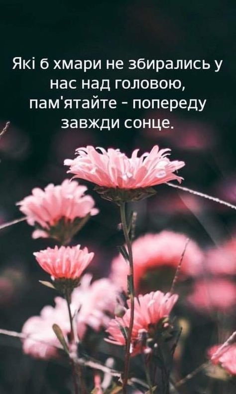 SergVolin's tweet image. Вітаю Незламні!
Минула ще одна важка ніч і знову зійшло сонечко...
Слава нації - смерть ворогам!