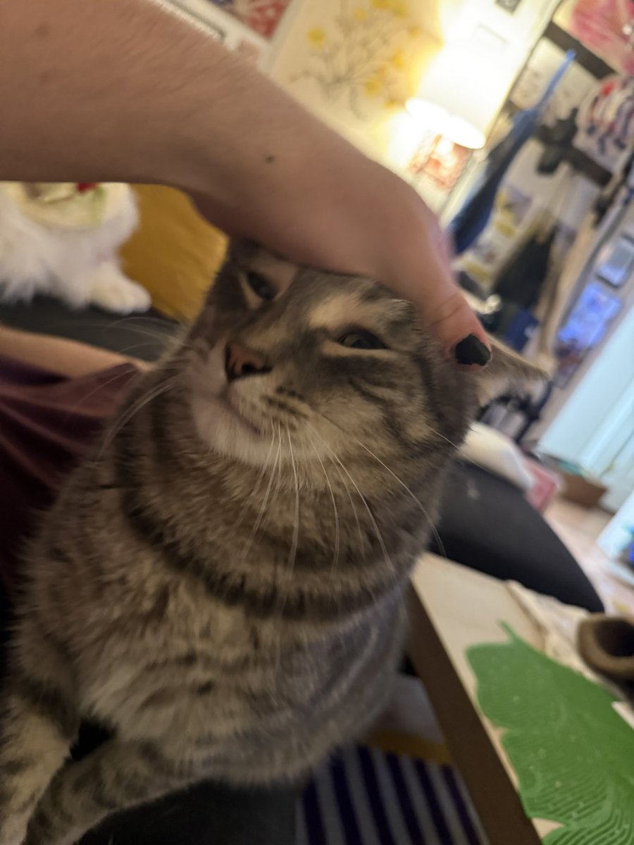 meow_maws's tweet image. Anna and i are so alike we’re both fat, unemployed, and like watching kitchen nightmares