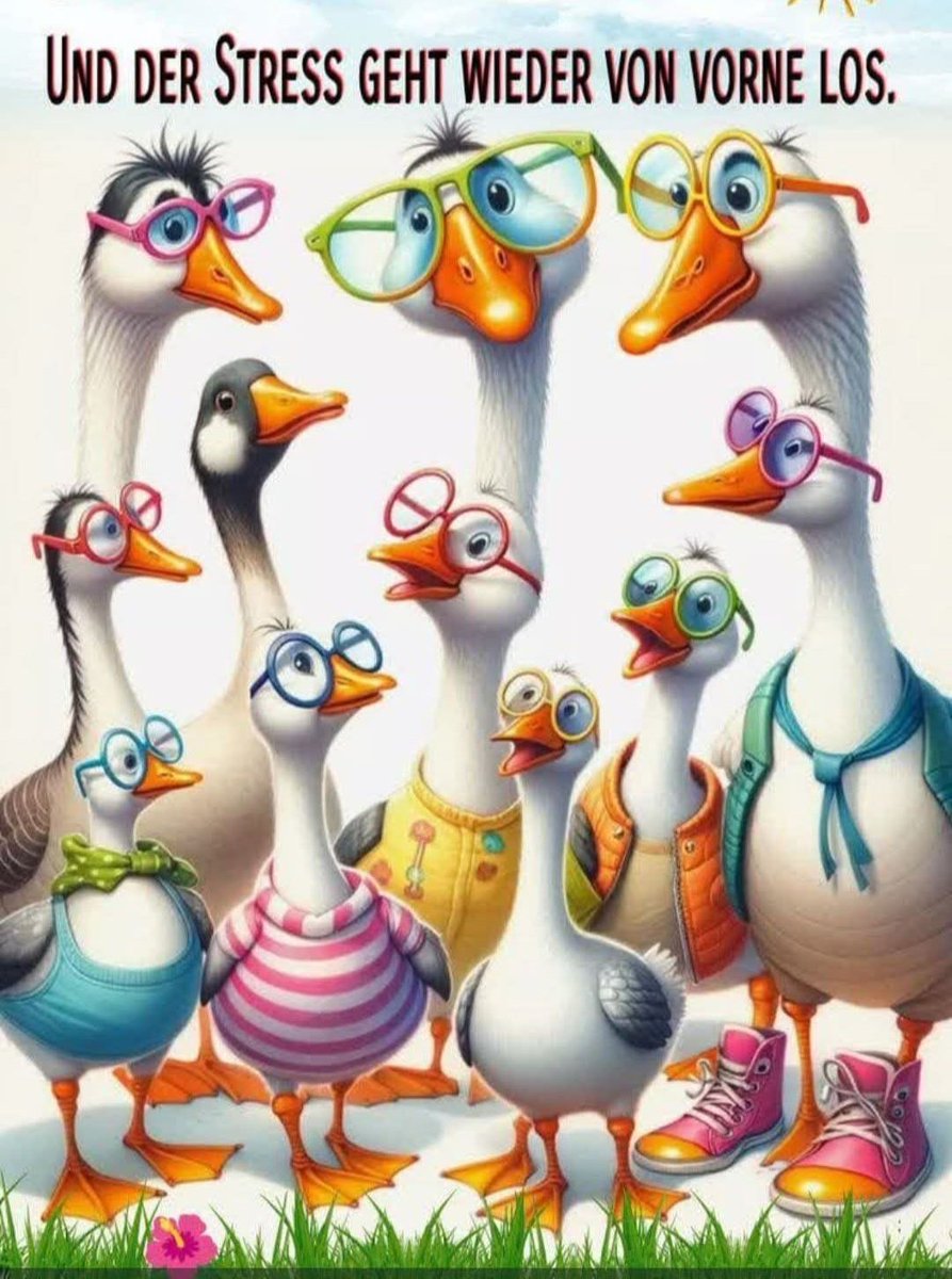KlappertLeiser's tweet image. Guten Morgen es ist schon wieder Montag, kommt alle gut durch die neue Woche ihr Lieben..🧡🌸💚🌸❤️