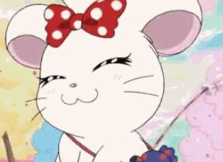 melting4966's tweet image. 🎀🐹 ♡ 리본햄♡ 🎀🐹