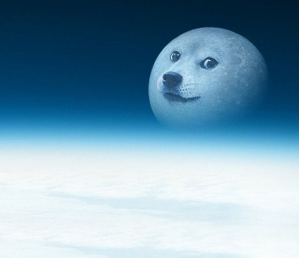 $DOGE is going to the moon! 📈 🚀🌙
