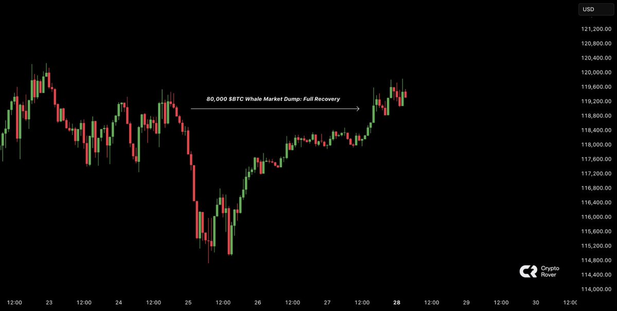 🚨 BREAKING: "Bitcoin si Riprende Dopo il Ritiro di 80.000 BTC da una Balena dell'Era Satoshi"