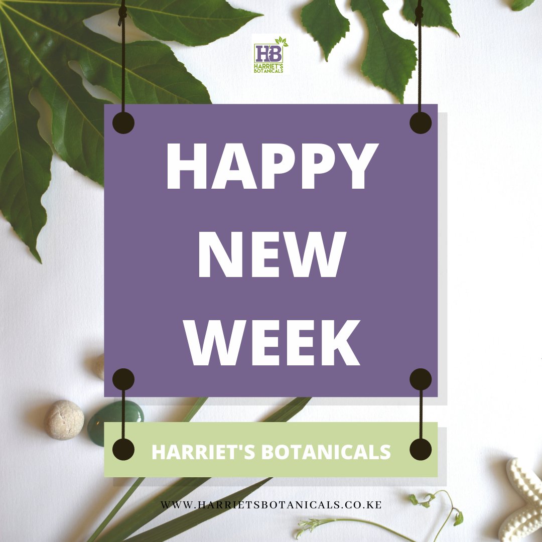 HarrietsBotani1's tweet image. We wish you a happy new week our esteemed customers! May you step into this week with joy and dance to the tune of prosperity!