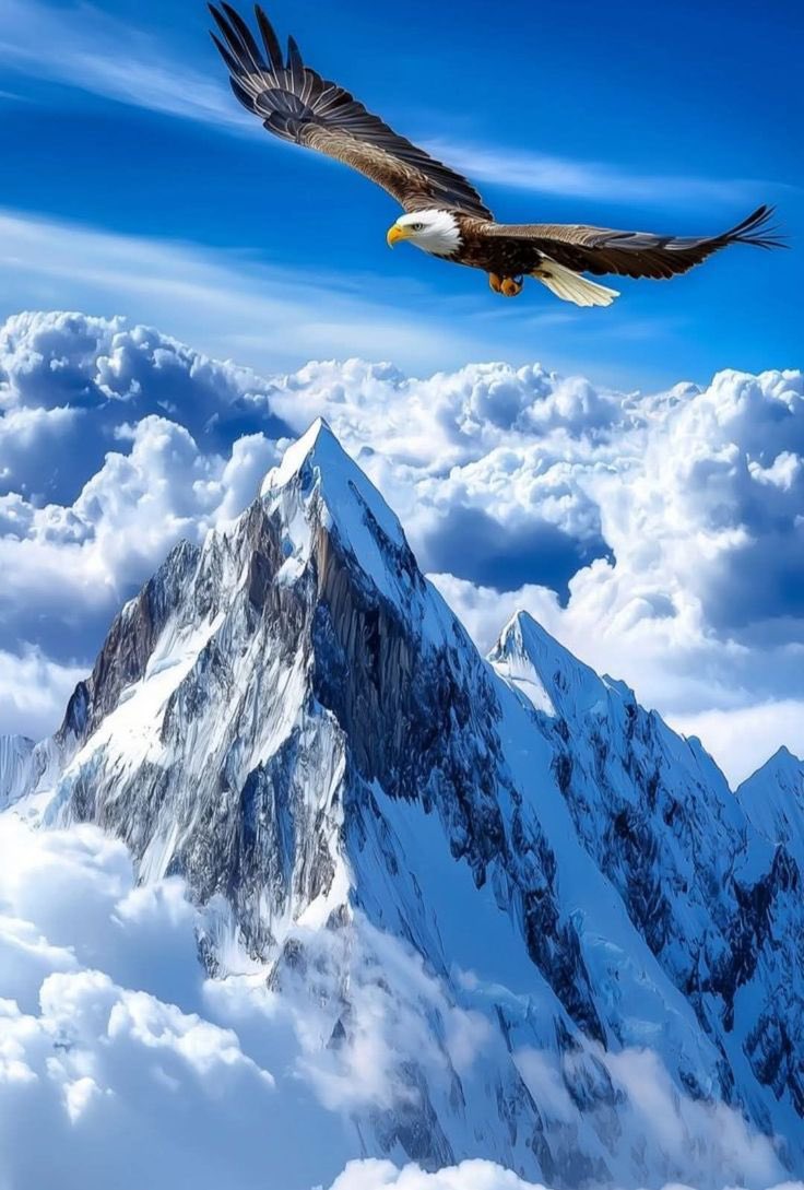 WLFIjinye's tweet image. BNB&apos;s issue price is $0.15, and today it hit a record high of $856! The increase is 5706 times!

WLFI&apos;s issue price is $0.015. As a platform currency, its influence far exceeds that of BNB! It can be inferred that the base price of WLFI after listing is $0.015x5706=85.6 USD! It…