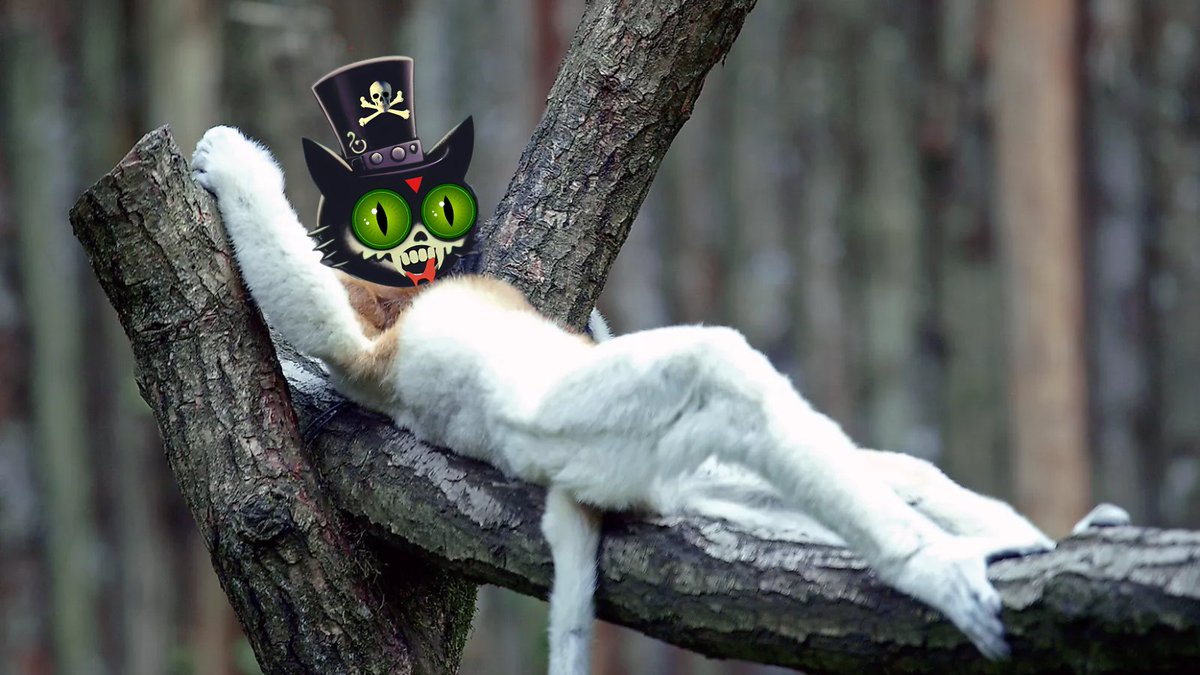 vampirebrat01's tweet image. time line cleanse. you&apos;re welcome.