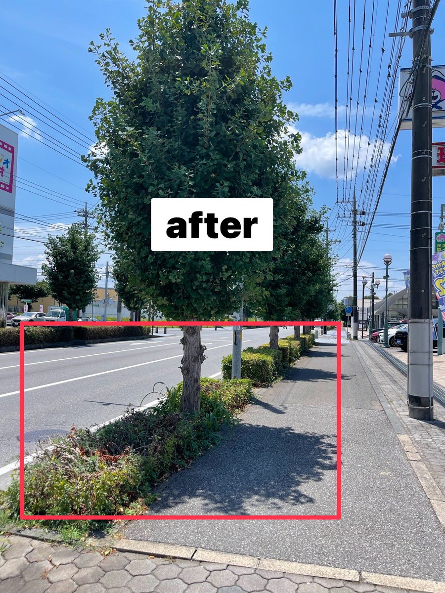 masahiro_okm10's tweet image. 【街路樹の剪定が完了しました】

✅ふれあい道路沿いの企業様から「お店から県道に出る際、車内から左右を確認すると街路樹が視界を遮り危険⚠️剪定をして欲しい」とご要望を頂いていました。
この程、作業が完了し左右から来る車両がしっかり見えるようになりました。
ご安全に🚗

#公明党
#RICE🌾🍚