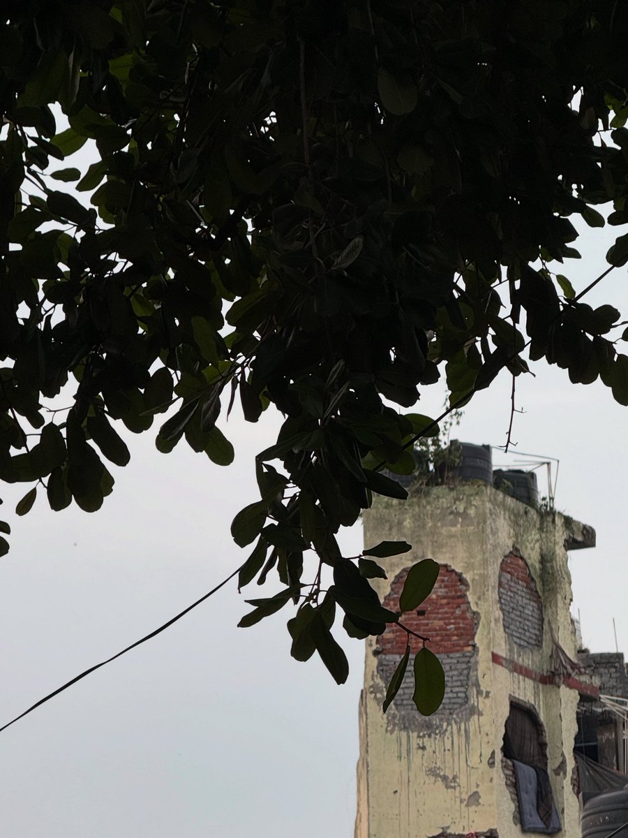 thedelhiwalla's tweet image. bandaged tower