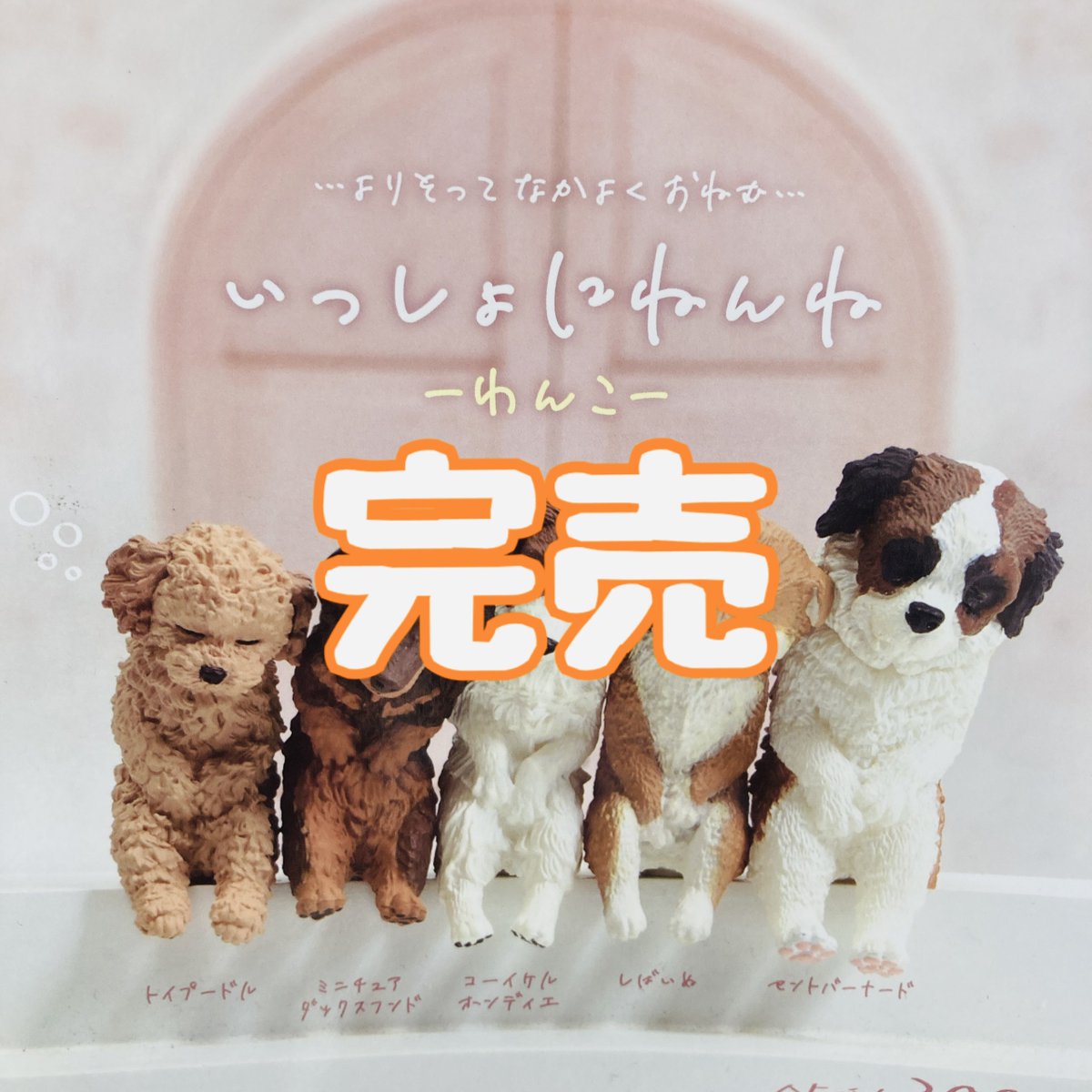 drecap_kusatsu's tweet image. 【❌完売のお知らせ❌】
⭐️いっしょにねんね -わんこ-
こちらの商品は完売しました!
皆様ご来店ありがとうございました。
#ドリームカプセル
#イオンモール草津