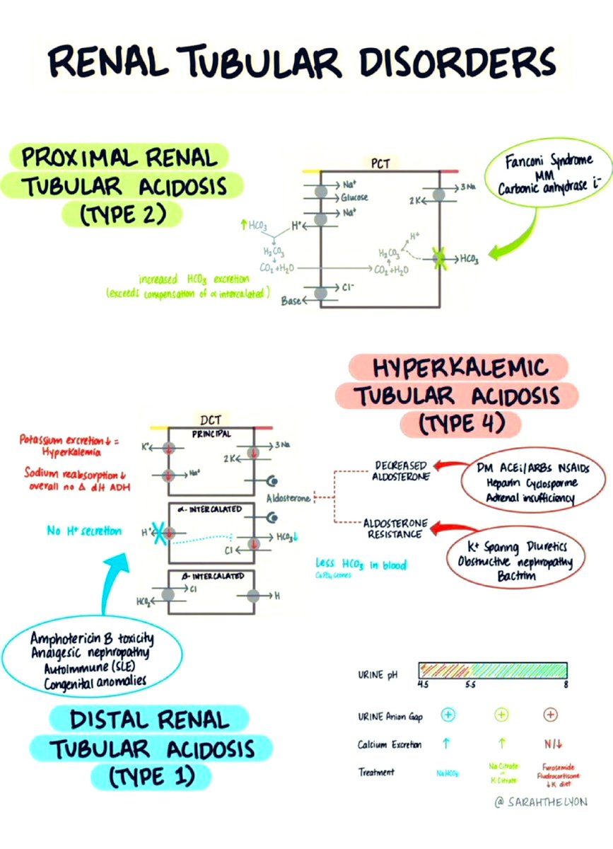 Renal tubular disorders