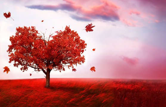 ABBOUD_LM's tweet image. القلب..
أنا الهادئ حين يضج كل شيء،
أمنح من يعبر طريقي حباً لا ينسى،
أكره الضغائن، وأمضي خفيفاً كما خلقت.
أعشق الحرية..
وأنتظر القادم بهدوء من لا يخشى التغيير،
لكن في صدري متسع لا يزاحم فيه أحد.. سوى من أحببتهم حقاً.
الحياة..
أنا الحكيمة التي تنظم فوضاك،
أُتقن التفاصيل، وأعشق…