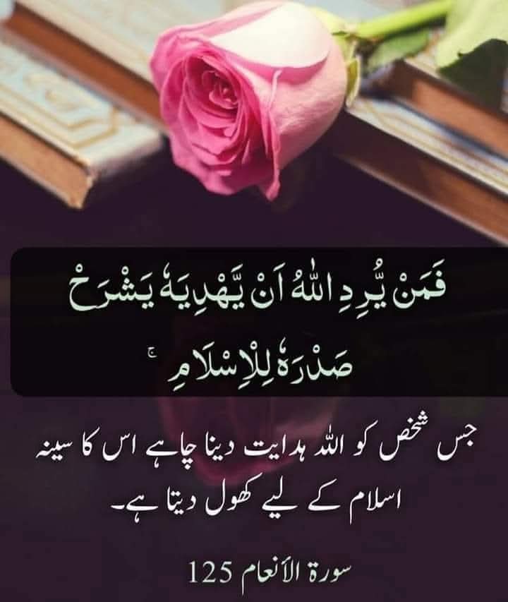 NahdT5's tweet image. سب سے خوبصورت رشتہ اور تعلق رَبُّ العَالَمِین کے ساتھ ہے جس پر بھروسہ کبھی ہارنے نہیں دیتا جس پر توکل کبھی غم میں مبتلا نہیں ہونے دیتا جس سے امید کبھی مایوس نہیں ہونے دیتی جس پر یقین کبھی خالی ہاتھ نہیں لوٹاتا جس پر ایمان کبھی بہکنے نہیں دیتا جس کی طرف توجہ کبھی بھٹکنے نہیں دیتی
