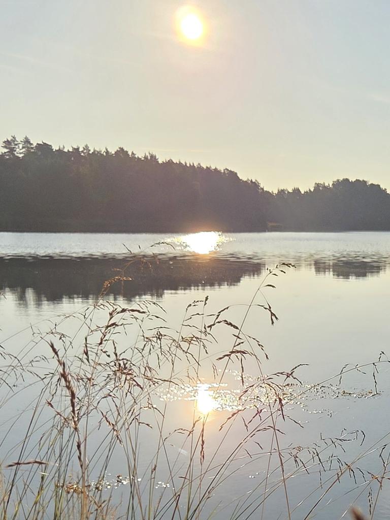 Piam68377597's tweet image. Hyvää huomenta! Aamu-usva pehmentää maiseman. Kesäistä alkavaa viikkoa ☀️