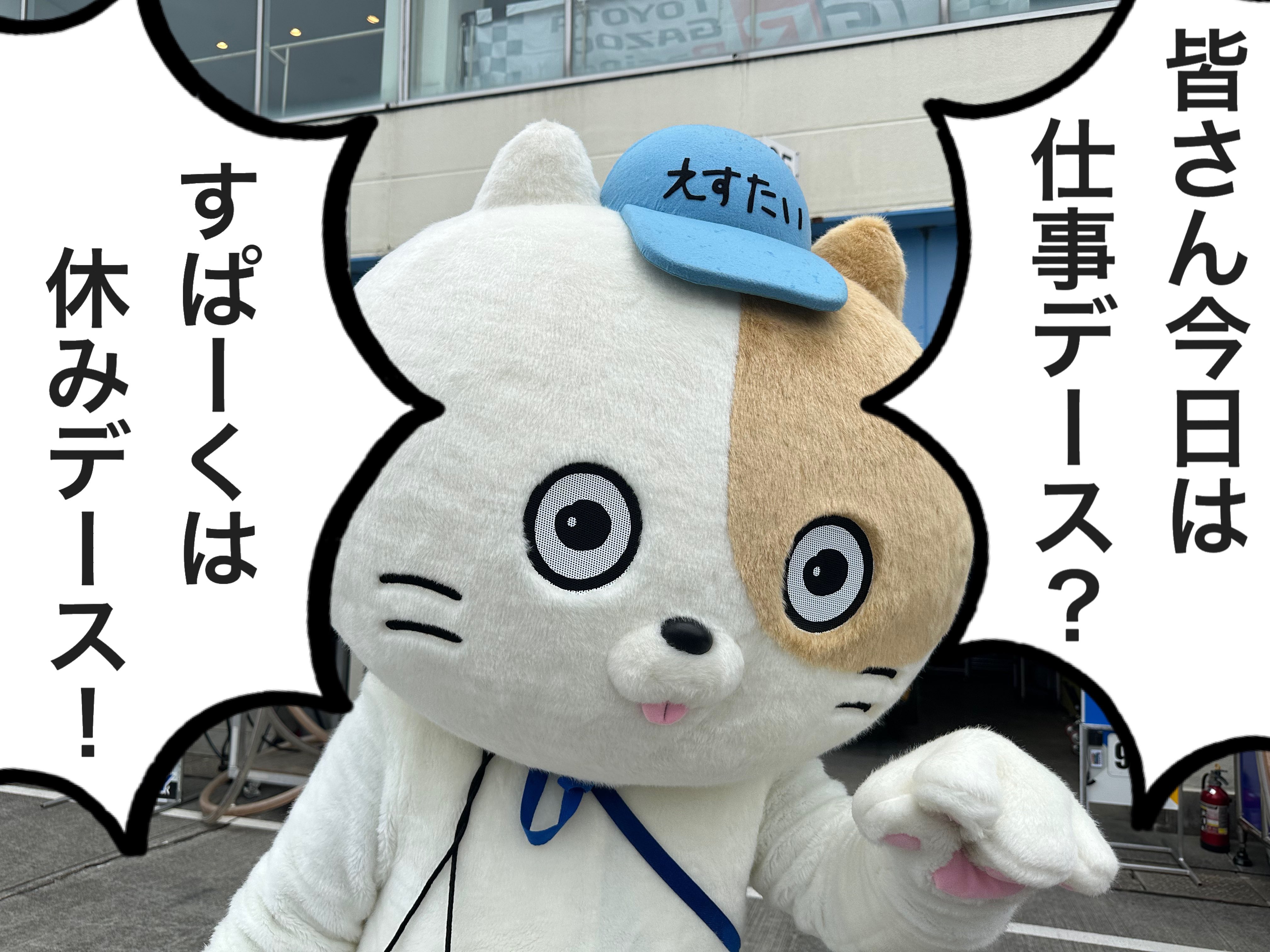 スーパー耐久　えすたい　すぱーく　ダルマ　ぬいぐるみ 159824964.jpg?cmsp_timestamp=
