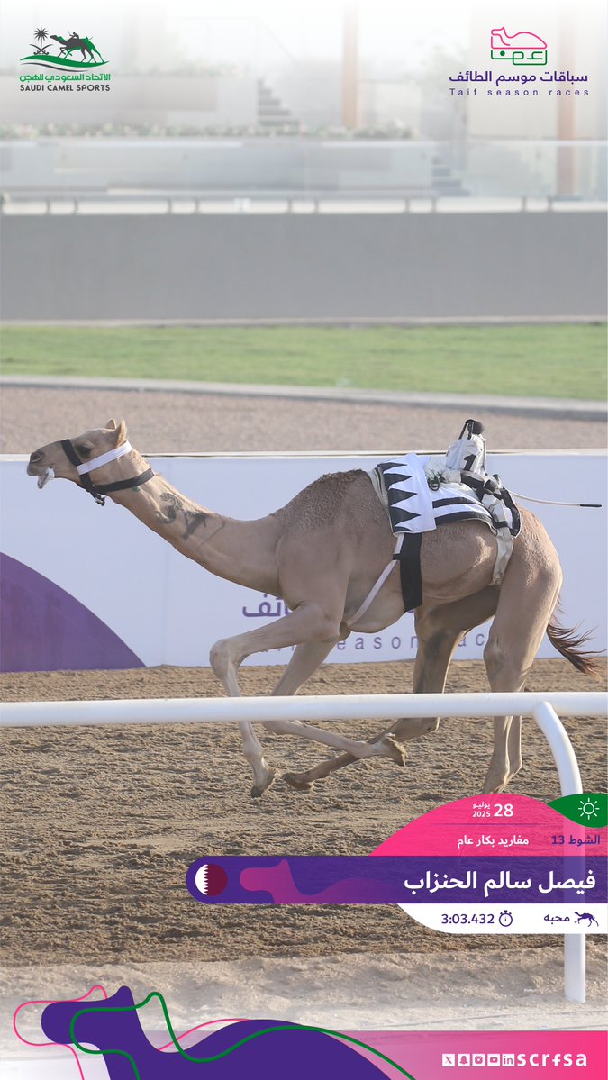 scrfSA's tweet image. #سباقات_موسم_الطائف 2025
أشواط السباق الثاني
🐪 محبه
▫️ فيصل سالم الحنزاب
🏁 الشوط 13: مفاريد بكار عام.
⏱️3:03.432
🎥 youtube.com/watch?v=nzggjs…