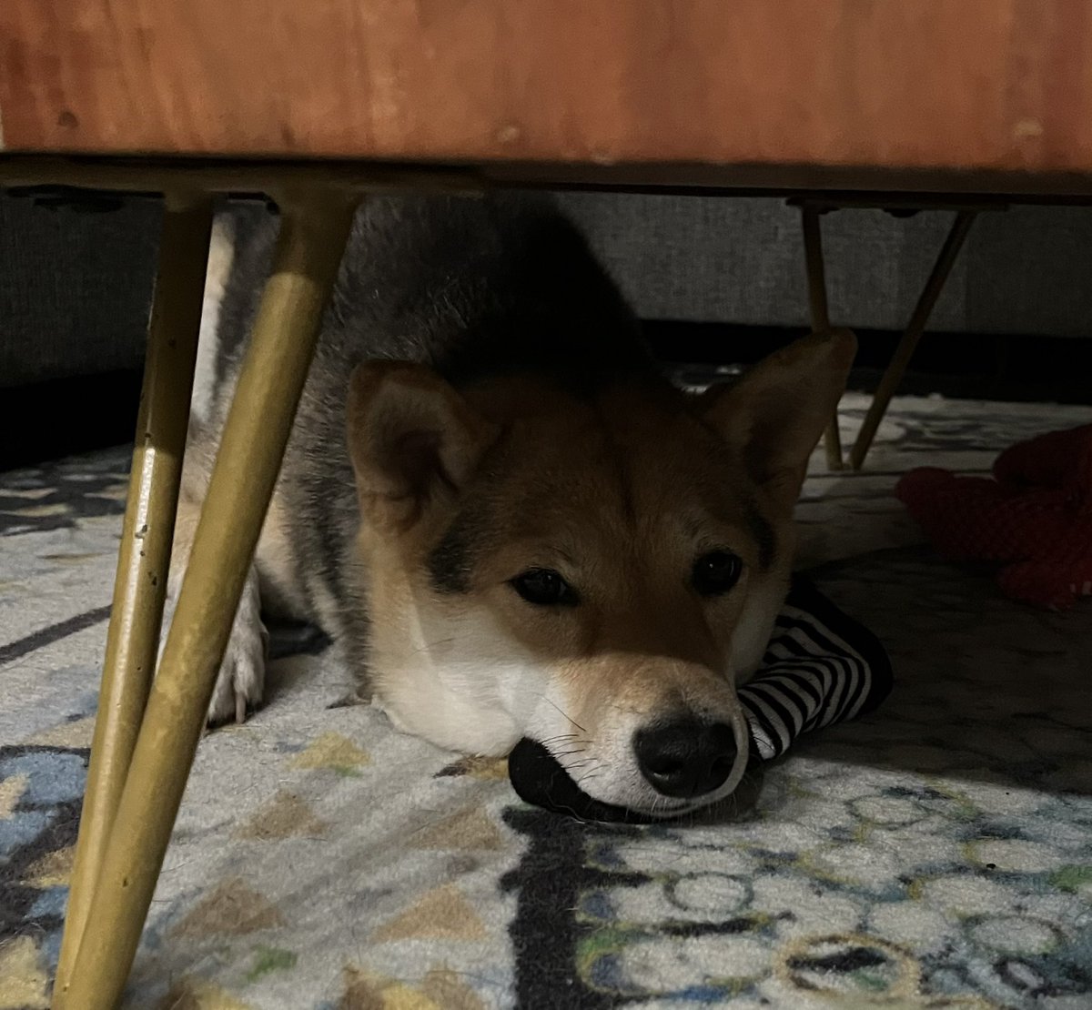 yuko 🍁 tweet media