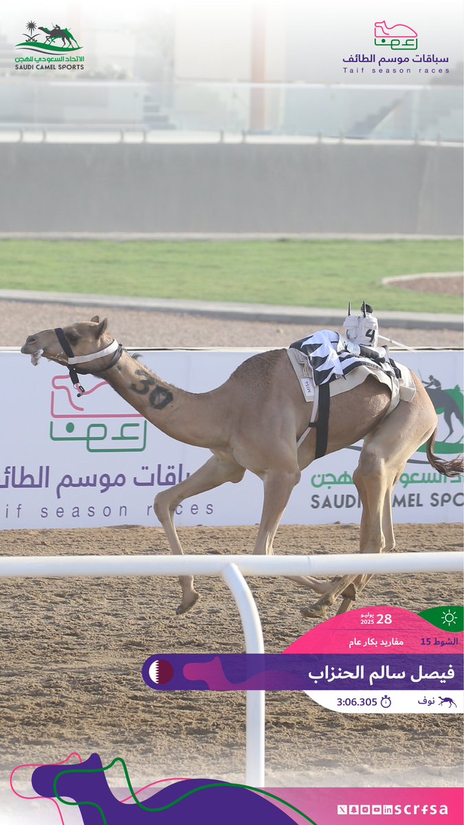scrfSA's tweet image. #سباقات_موسم_الطائف 2025
أشواط السباق الثاني
🐪 نوف
▫️فيصل سالم الحنزاب
🏁 الشوط 15: مفاريد بكار عام.
⏱️3:06.305
🎥 youtube.com/watch?v=x41J_J…