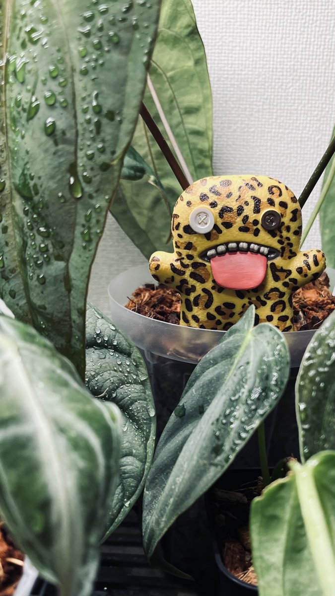 #ファグラーとの生活