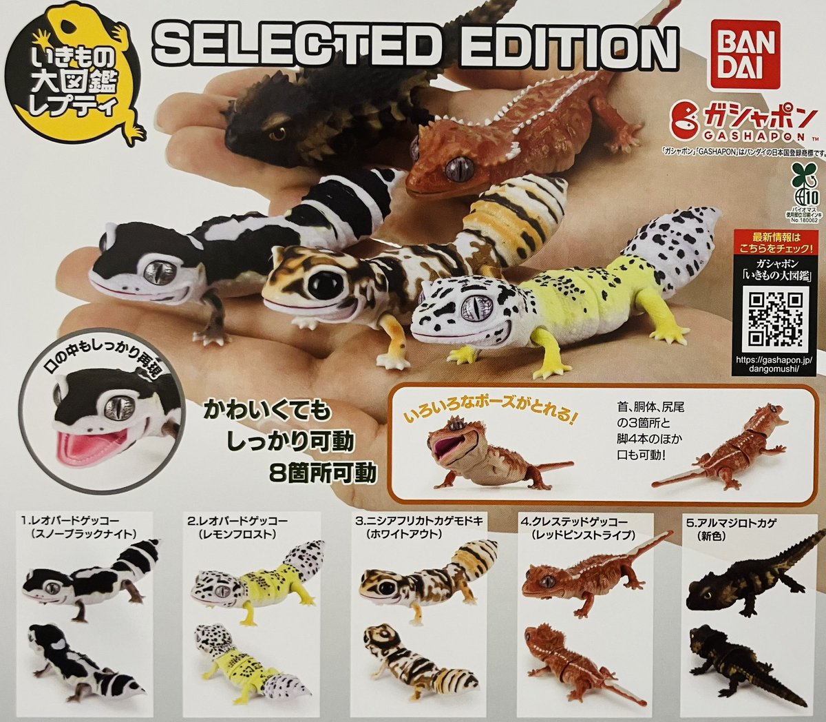 drecap_mito's tweet image. 🙇♀️7月28日完売のお知らせ🙇
🦎いきもの大図鑑レプティ SELECTED EDITION
⭐️PUPUPU FRiENDS フィギュアコレクション2
以上の商品は完売致しました☺️
たくさんのご来店ありがとうございました😊
#ドリームカプセル
#ガチャガチャ