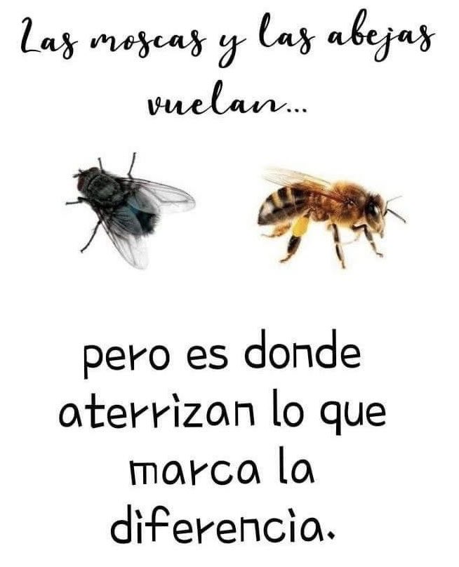 LORE_LOR's tweet image. ASÍ LA COSA…