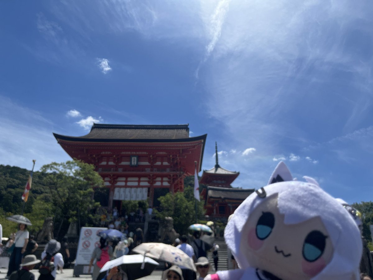 merutaoo's tweet image. 旅行楽しんでるぜ〜
どこもあちぃだろうから熱中症気をつけるんだぞ！！