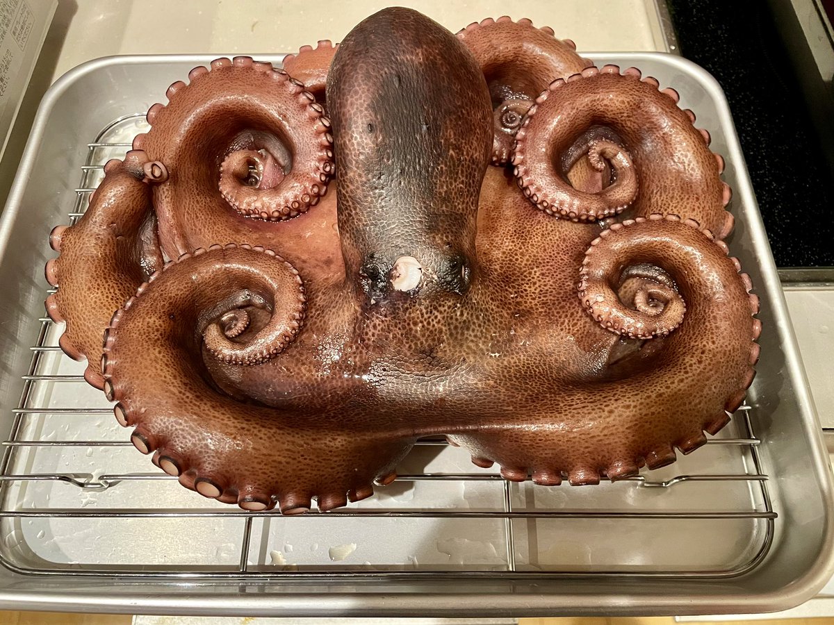 tsuritengu's tweet image. 備忘録

そういえば、タコ釣り行ったんだった！
今回は相模湾のタコ。

1番大きいので2kg弱でした〜♪