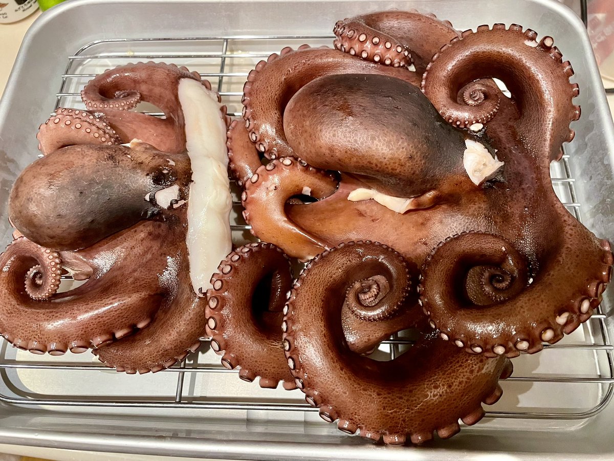 tsuritengu's tweet image. 備忘録

そういえば、タコ釣り行ったんだった！
今回は相模湾のタコ。

1番大きいので2kg弱でした〜♪