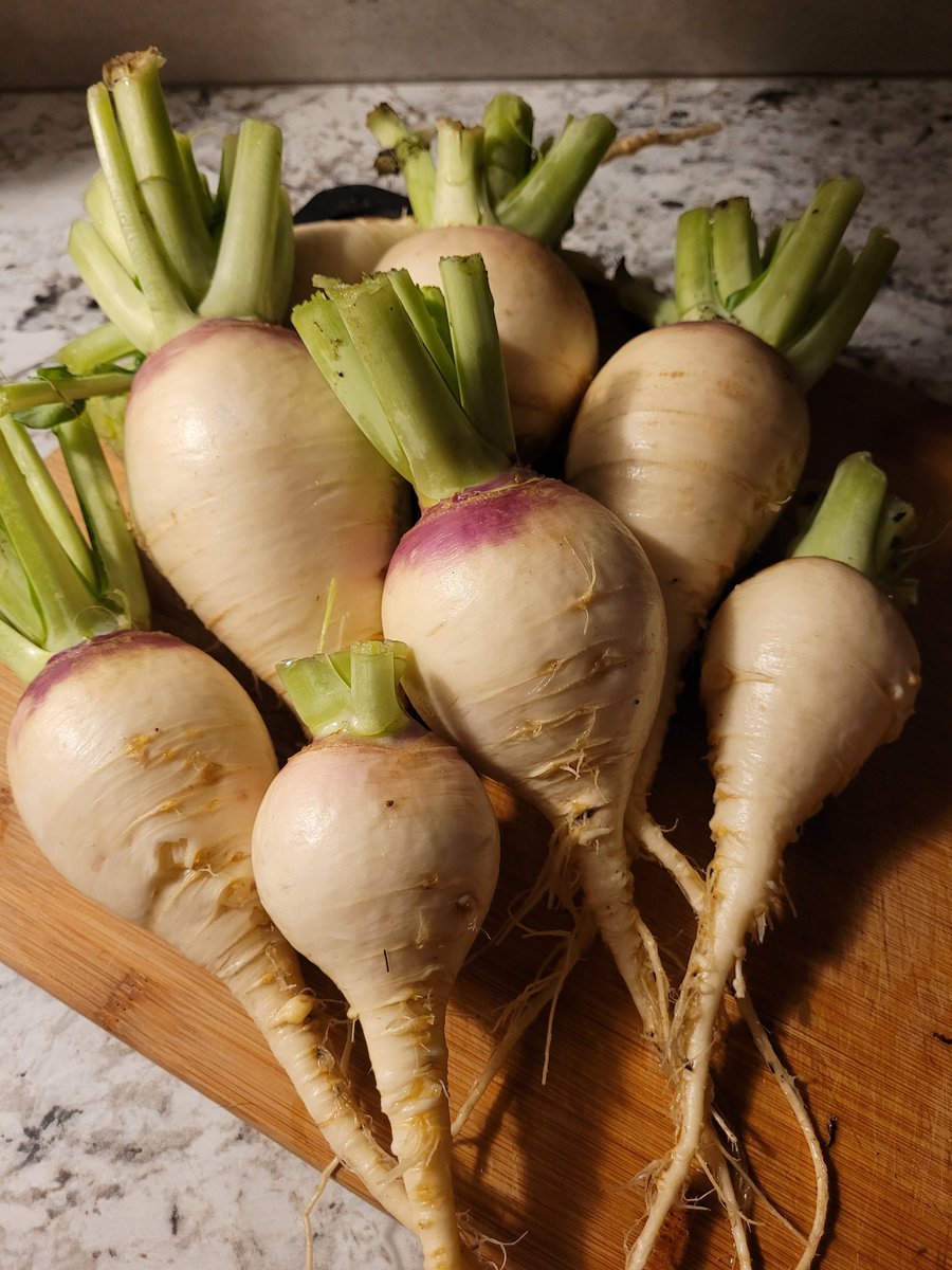 fckboislayer's tweet image. One of my favorite vegetables of all time.