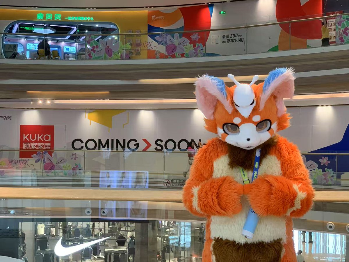 海獸聚有一起的嗎