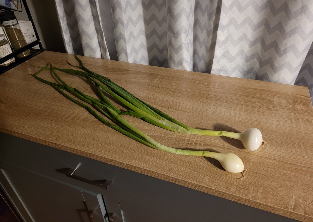 fckboislayer's tweet image. You won&apos;t find green onions like this at the grocery store.