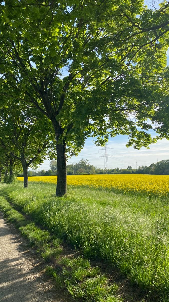 Good Morning ☀️