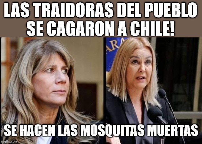 lily_reyes's tweet image. #PrimerPlanoCHV oie JC deja a la víbora Jales en el programucho de cahuines y pelambres , ya nadie quiere verla en política entro x la izquierda saco las patas y resulto ser momia republic.ano ,que se quede caguineando ese es su fuerte ,déjenla clavada en el canal