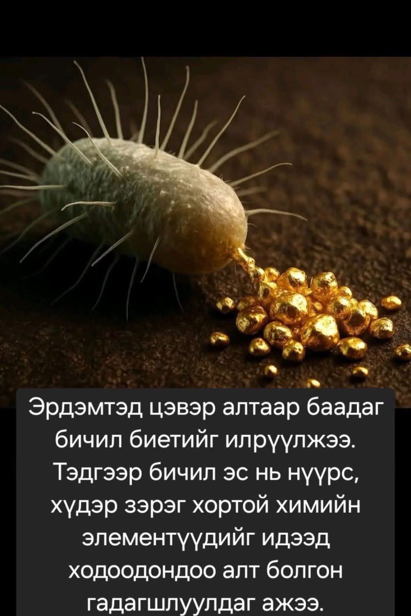 tsegii1105's tweet image. Аятайхан амьтан бэ олж авахынсаан😜