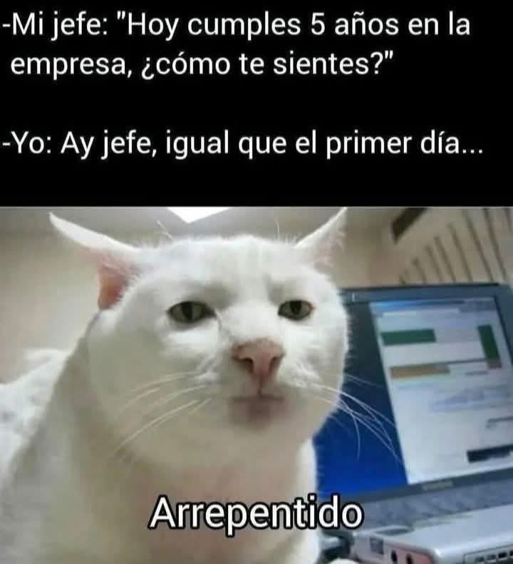 LORE_LOR's tweet image. Y QUE ME CORREN…