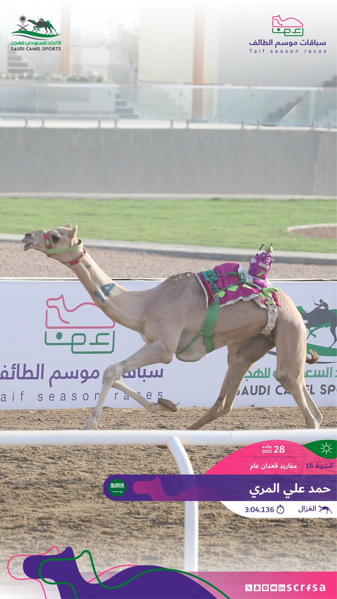 scrfSA's tweet image. #سباقات_موسم_الطائف 2025
أشواط السباق الثاني
🐪 الغزال
▫️حمد علي المري
🏁 الشوط 16: مفاريد قعدان عام.
⏱️3:04.136
🎥 youtube.com/watch?v=LLAC1d…