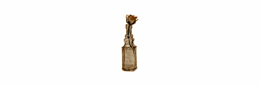 𝔣𝗂𝗀．¹⁫　⁫‍╋━ ⁫　⁫　⁫　⁫ 𝑒𝑑𝑒𝑛𝘀𝗼𝗻𝗴．†⁫⁫　⁫　⁫　⁫ tweet media