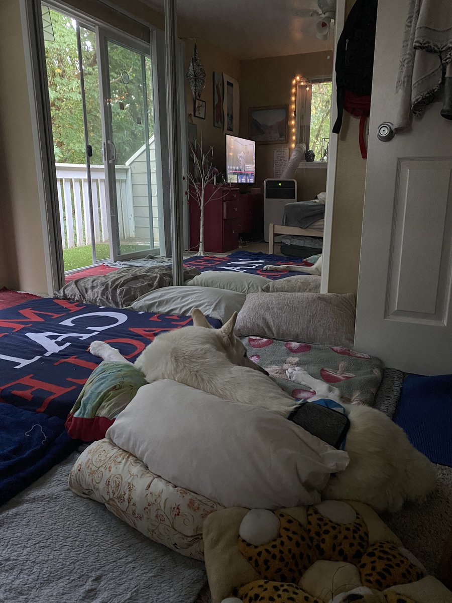 How to Bed: Lesson 40

Today we have a letter from a student who asks, how many pillows should I be using in my How to Bed™️ routine?
Great question and a very simple answer- #HowToBed