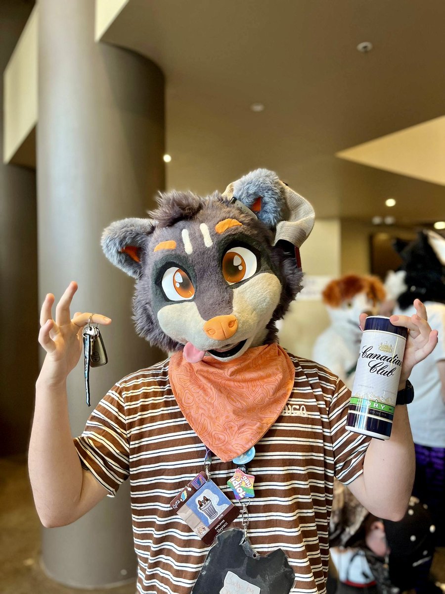 Slyy_racc's tweet image. Some things just go hand in hand 🥰
📸: @DrifterTheWolf
