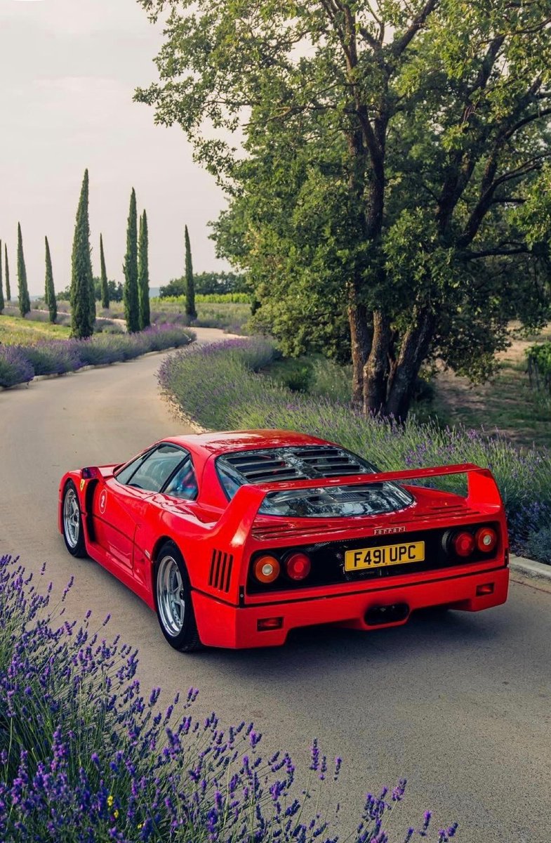 FullT95's tweet image. Ferrari F40❤️‍🔥