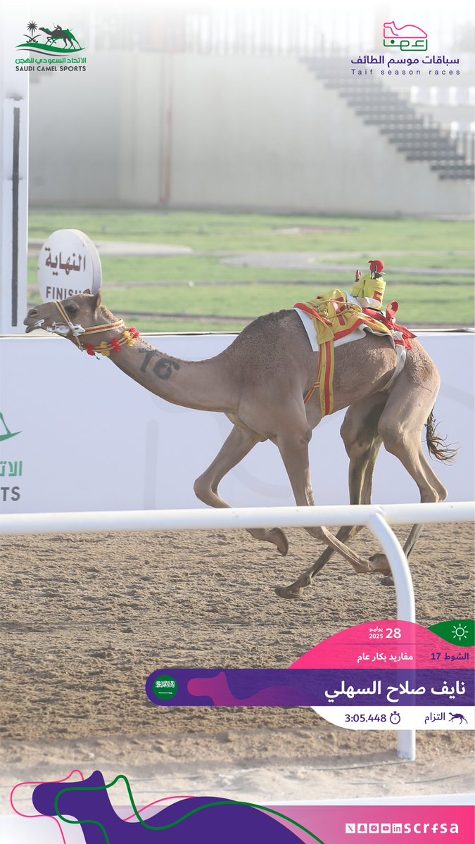 scrfSA's tweet image. #سباقات_موسم_الطائف 2025
أشواط السباق الثاني
🐪 التزام
▫️نايف صلاح السهلي
🏁 الشوط 17: مفاريد بكار عام.
⏱️3:05.448
🎥 youtube.com/watch?v=9r8aYT…
