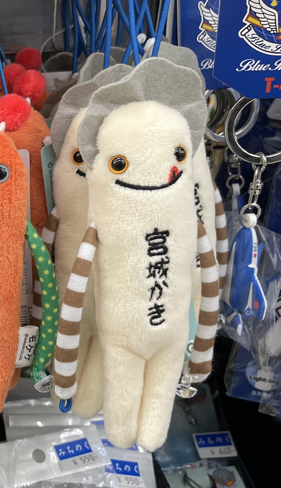 ✨たまちゃん新品希少44❣✨定価¥43780❣✨春〜セレブ軽フワ〜ダウン✨ コンタsan on X: 